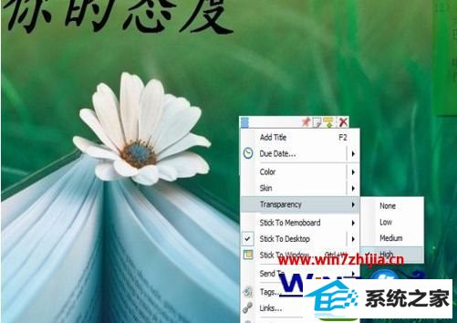 win10ϵͳ͸ǩĲ