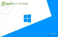 ײ64λwin11ʽͨv2025.05