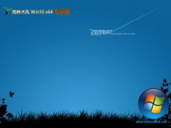 ľ64λwin10ҵv2025.05